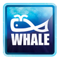 Whales Enterprise Private Limited