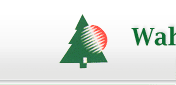 Wah Shing Industrial Company Limited