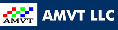 AMVT LLC