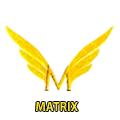 THE MATRIX ENTERPRISES, TIRUPUR