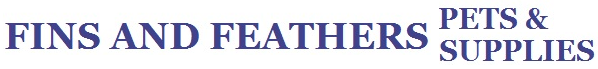 Feathers Delights