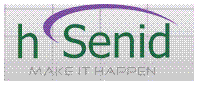 HSENID SOFTWARE INTERNATIONAL