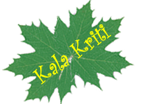 Kalakriti