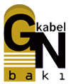 Goknur Baku