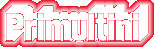 PRIMULTINI Srl