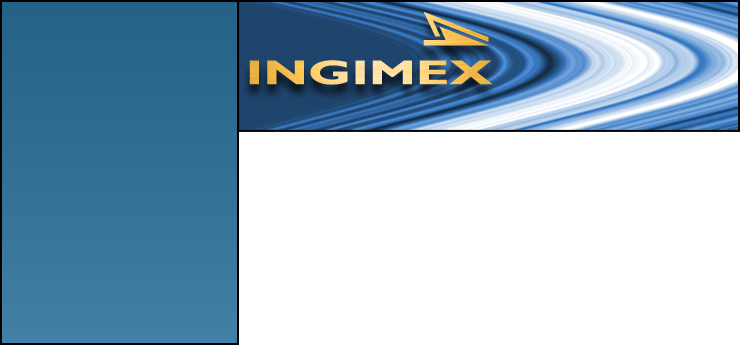 PROCESS ENGINEERING / Ingimex