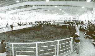 Iowa State Fairgrounds, Des Moines, USA | 10times Venues