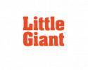 Little Giant Ladders