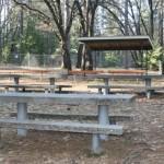 venue_photo_5