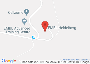 DNA Replication: From Basic Biology to Disease (May 2018), Heidelberg ...
