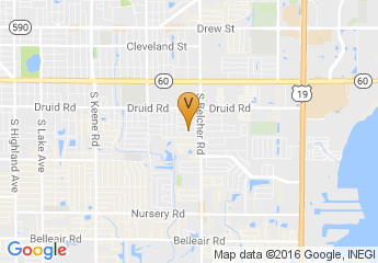 map of University of South Florida