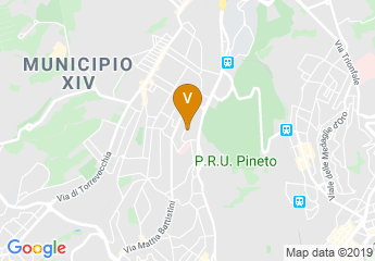 map of Pineta Palace Hotel Roma
