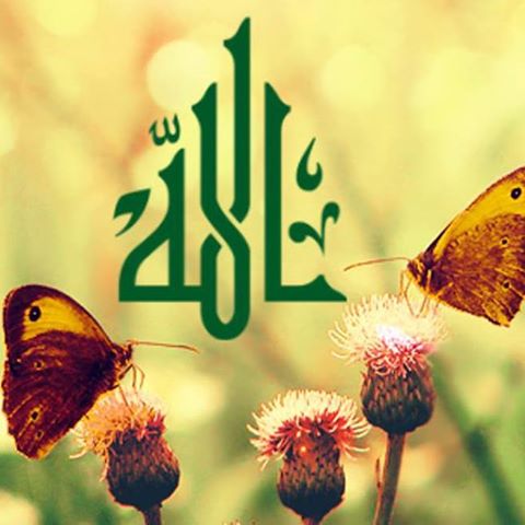 Rana Sufi