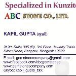 Kapil Gupta