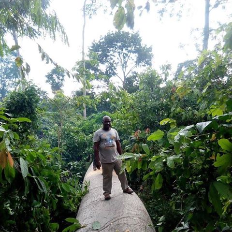 KWASI NIMAKO