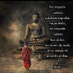 Ing. Rodolfo J P R