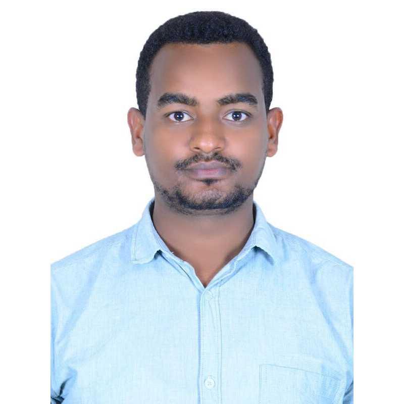 muluken woldemariam